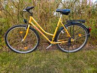 Sport Fahrrad 28 Zoll, voll funktionsfähig mit Licht Mecklenburg-Vorpommern - Greifswald Vorschau