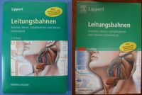 Leitungsbahnen Arterien, Venen, Lymphbahnen, Nerven Lippert Niedersachsen - Cramme Vorschau