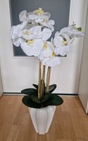 ABELLA Flora Kunstblume Orchidee 19 Blüten Keramiktopf Höhe ca. 8 Sachsen - Rötha Vorschau