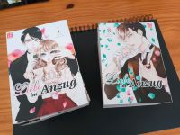 Manga (Liebe in Anzug ) Abgeschlossen mit 12 Stück Niedersachsen - Peine Vorschau
