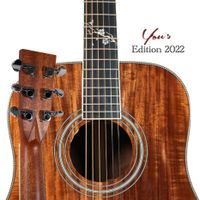 Koa Dreadnought You´s E-Akustik Gitarre| Preamp Sattel45mm |  NEU Hamburg-Nord - Hamburg Ohlsdorf Vorschau