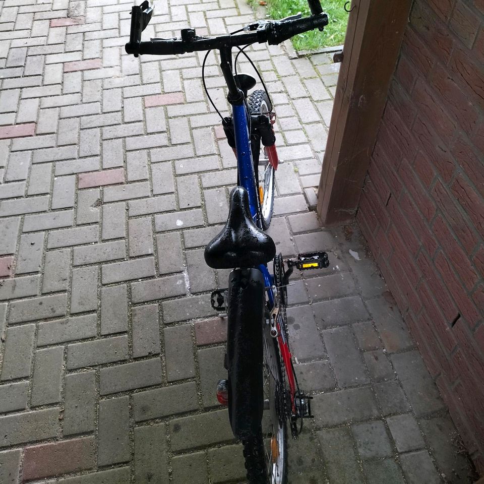 Jungen Fahrrad 20 Zoll in Wankendorf