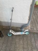 Tretroller Scooter Neuhausen-Nymphenburg - Neuhausen Vorschau