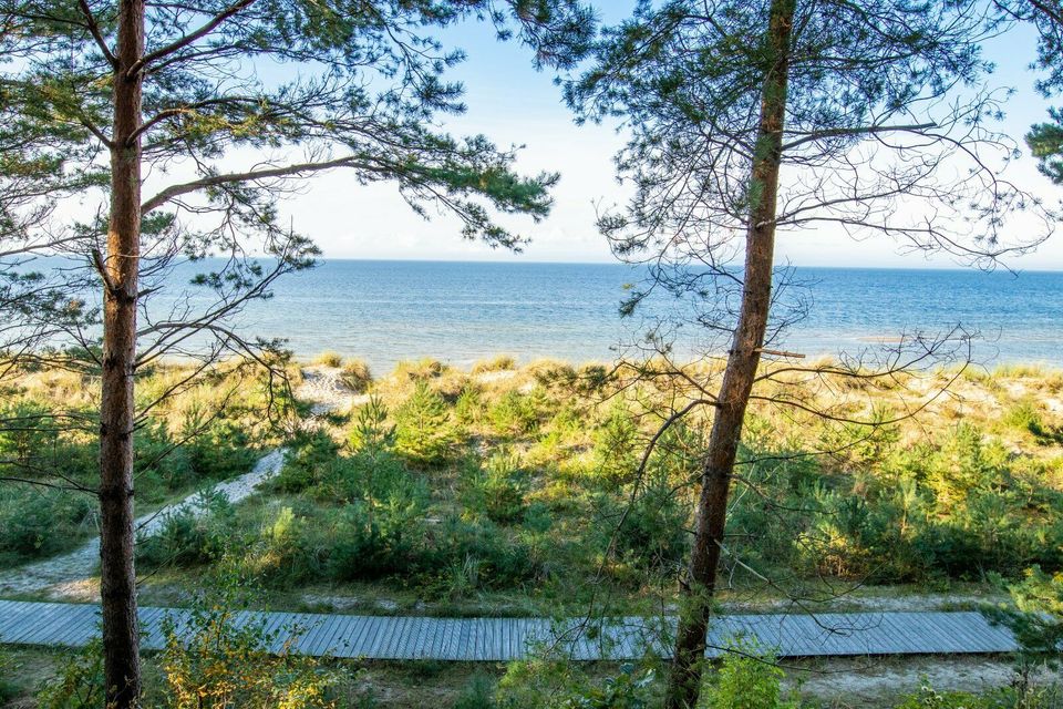 ♥ Ferienwohnungen ♥ Ferienhäuser ♥ Strand ♥Lubmin |127674 in Greifswald