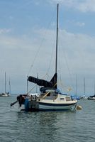 Segelboot/Kajütenjolle, ohne Segelschein auf dem Bodensee Baden-Württemberg - Immenstaad Vorschau