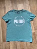 Puma Shirt, Sportshirt, Baumwolle, 152,158, Türkis Sachsen - Riesa Vorschau