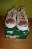 PUMA, Gr. 40, toller Sneaker beige/gold NEU MIT ETIKETT Neustadt - Buntentor Vorschau