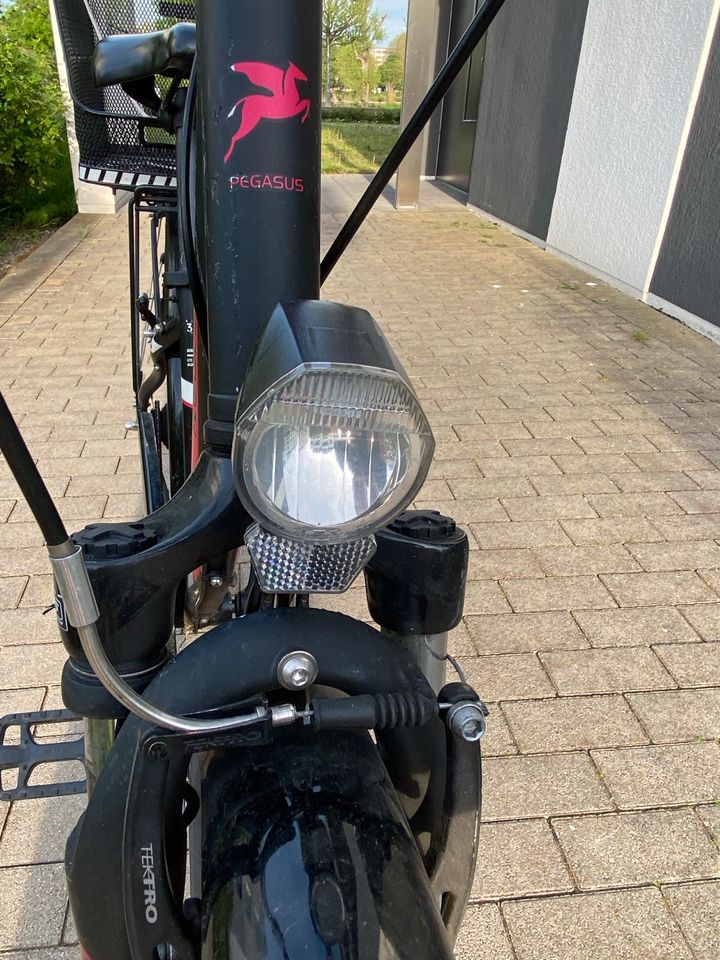 Mädchenfahrrad Pegasus Avanti 7 - 26 Zoll in Ludwigshafen