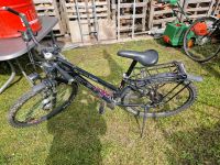 26er Bulls Fahrrad 26 Zoll Rahmenhöhe 41cm Dortmund - Kirchderne Vorschau