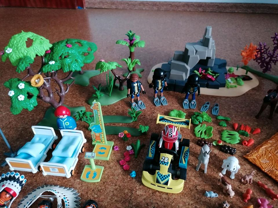 Playmobil Konglomerat in Dittelbrunn