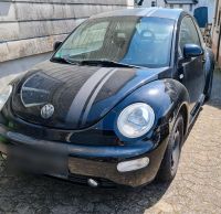 VW New Beetle Rheinland-Pfalz - Mannebach (Eifel) Vorschau
