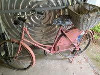 Gazelle Fahrrad rosa, 3 Gänge Nordrhein-Westfalen - Ratingen Vorschau