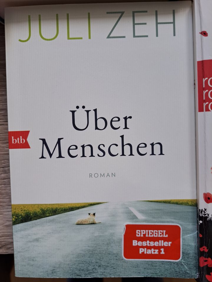 Moyes Jojo Zeh Juli Lind Himmel Jahr Schicksal Romane Liebe ab 3€ in Markt Indersdorf