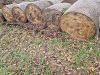 Heuballen Heu Heurollen Thüringen - Rudersdorf Vorschau