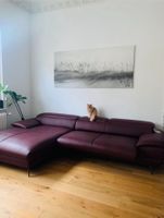 Sofa Hoya von Mondo NP 4500 € Schleswig-Holstein - Jagel Vorschau