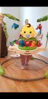 Fisher price jumperoo Sachsen-Anhalt - Gatersleben Vorschau