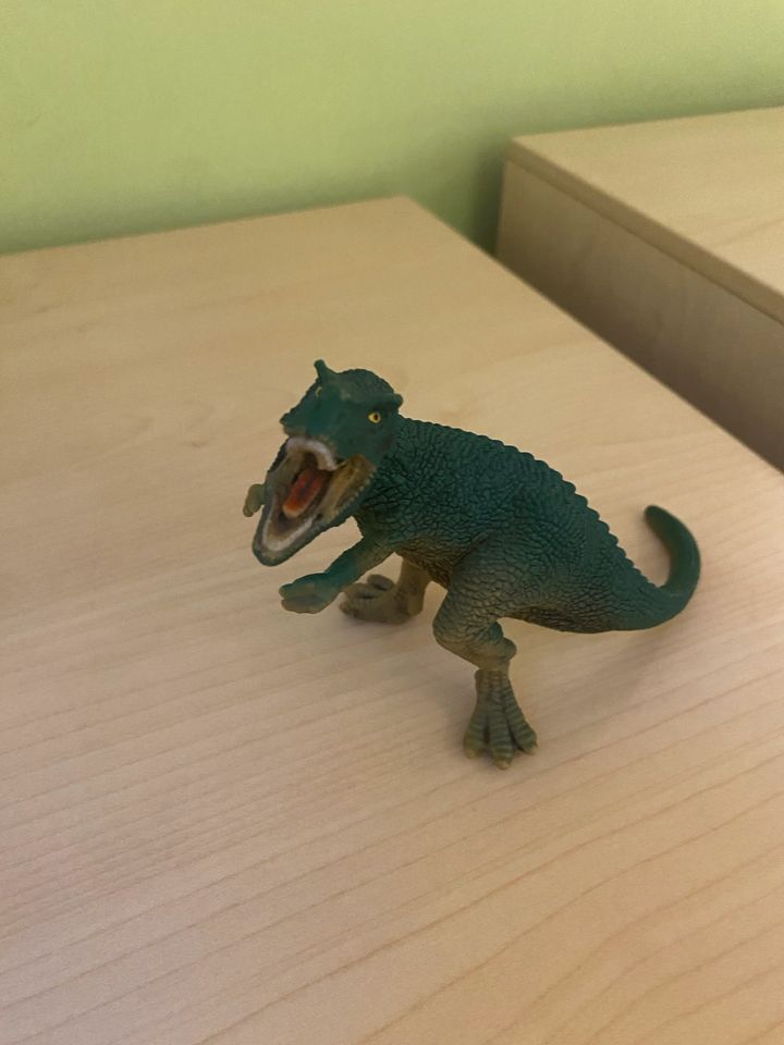 Schleich Dinos in Höchstadt