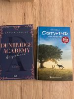 Dunbridge Academy / Ostwind: Aris Ankunft Bochum - Bochum-Südwest Vorschau