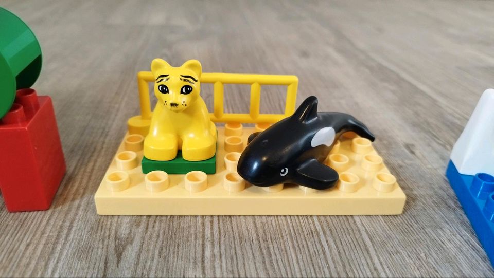 Lego Duplo Mega Set XXL Zoo Tiere Fahrzeuge Feuerwehr Flugzeug in Aalen