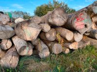 Stammholz, Esche, Buche, Brennholz, Stämme AKTION! Bayern - Maisach Vorschau