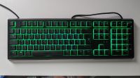 Razer Ornata V2 mechanische Gaming Tastatur RGB LED Brandenburg - Blankenfelde-Mahlow Vorschau