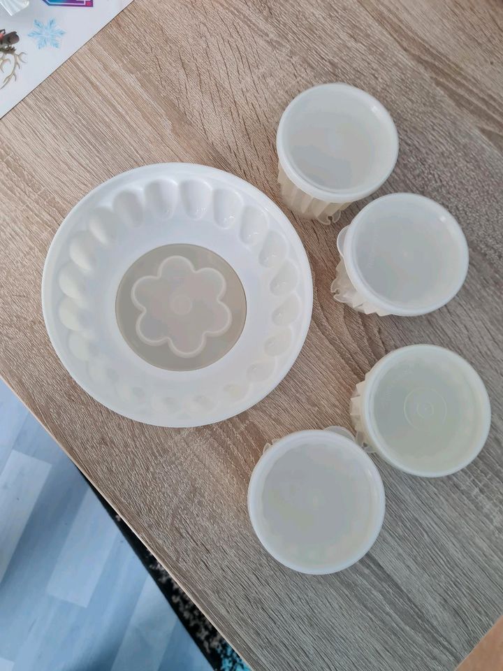 Puddingformen Tupperware in Alpen