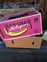 Bananenkarton Karton Umzugskarton 4 Stück Schleswig-Holstein - Tappendorf Vorschau