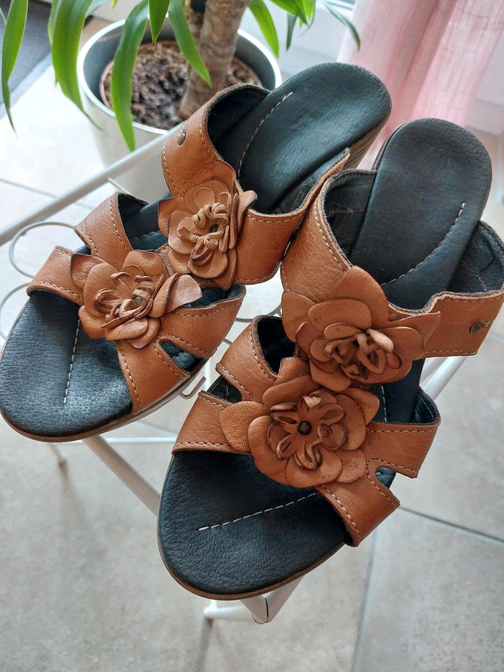 ❤️ Tolle Sandalen / Wedges/ Pantoletten ❤️ in Erding