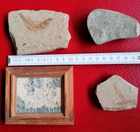 4 interessante Steine, mit Beschriftung, Archäologie Hessen - Bad Wildungen Vorschau
