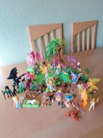 Playmobil Feenwelt 5444 Feensets Drache Feeninsel Rheinland-Pfalz - Dierdorf Vorschau