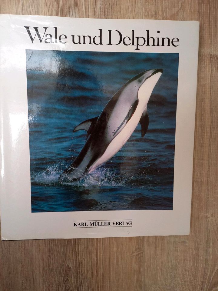 Wale und Delphine Bildband Karl Müller Verlag in Delmenhorst