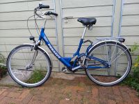 Pegasus Fahrrad Damenrad Rad 28 Schleswig-Holstein - Horst (Holstein) Vorschau