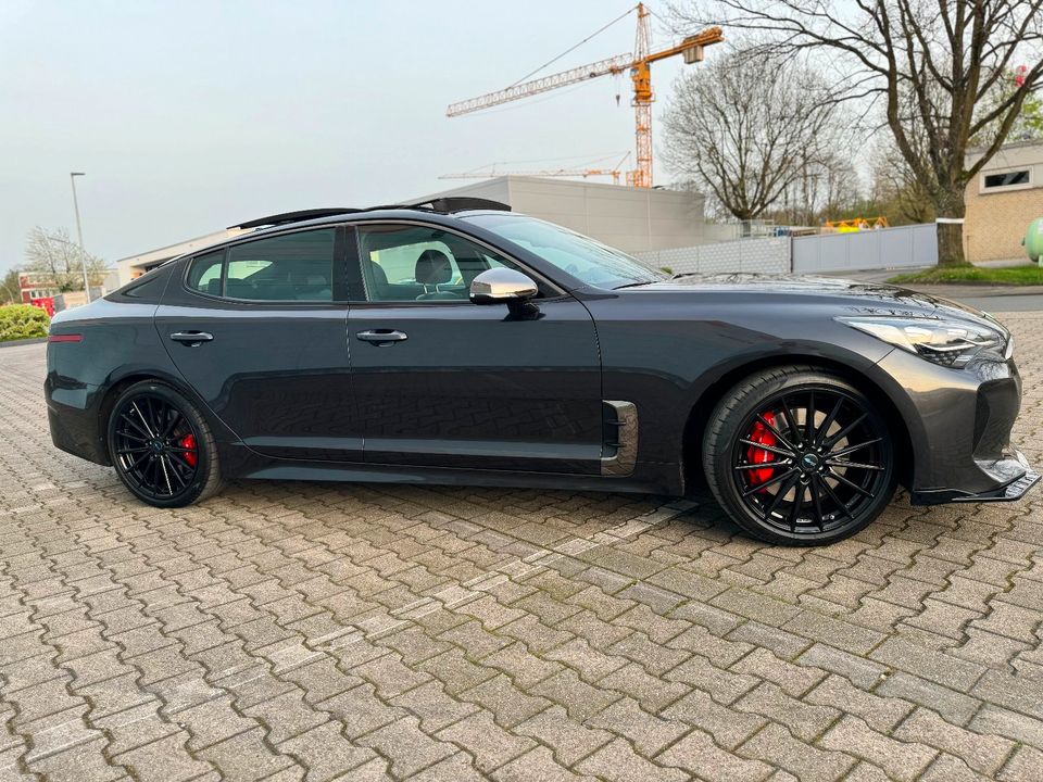 Kia Stinger GT 4WD*PANO*HK*KEY-GO*360°*H-UP*ACC* in Gladbeck