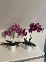 6 Orchideen aus Kunststoff Schleswig-Holstein - Lübeck Vorschau