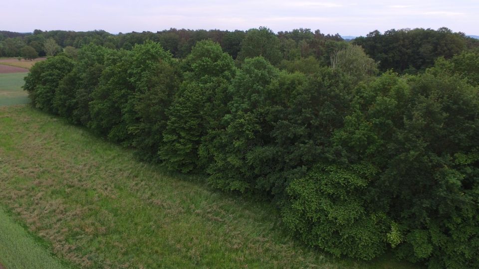 2-Fam.-Haus für Naturliebhaber in Hille