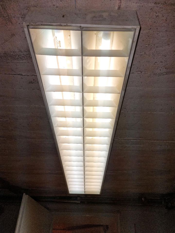 Rasterlampe mit 2 Neonröhren in München