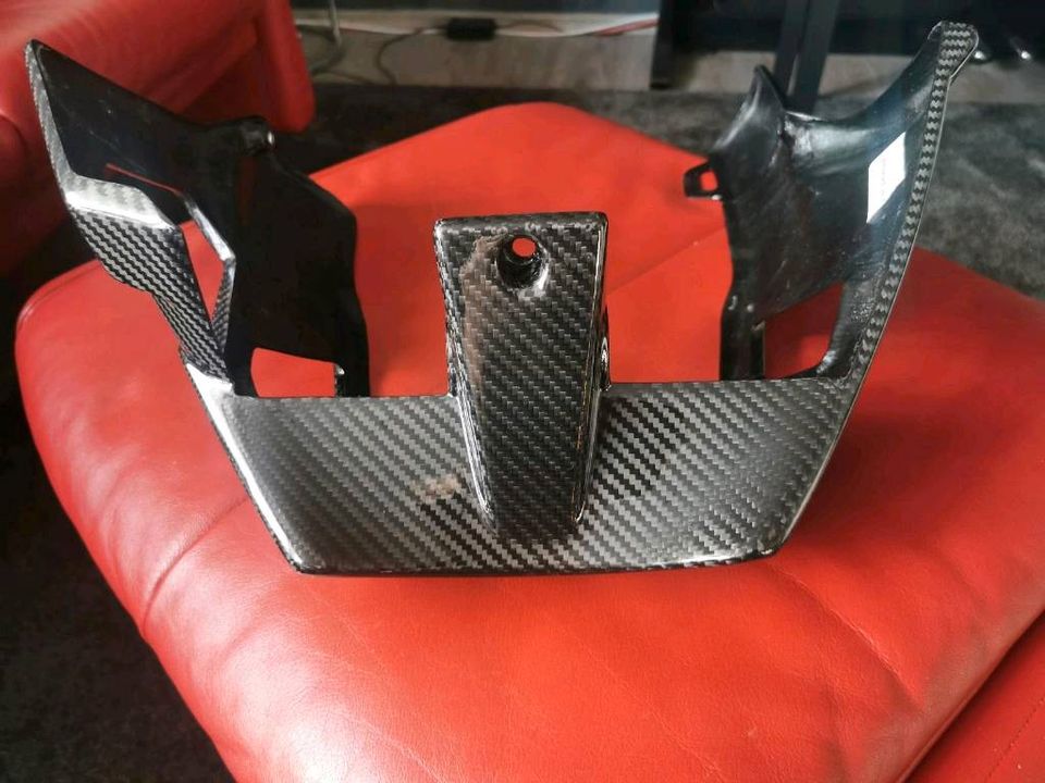 Carbon Bugspoiler für Aprilia Tuono 1000 in Bornheim