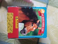 Panini Sticker "My Horse Club" Hessen - Rodenbach Vorschau