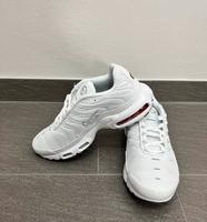 Nike TN Air Max Plus Größe 42 Niedersachsen - Hildesheim Vorschau