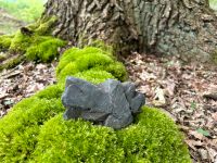 Bonsai Fels Natur 1Kg -Ideal für Felspflanzungen- Niedersachsen - Wolfsburg Vorschau