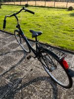 Damenrad,Fahrrad 28 Nordrhein-Westfalen - Sonsbeck Vorschau