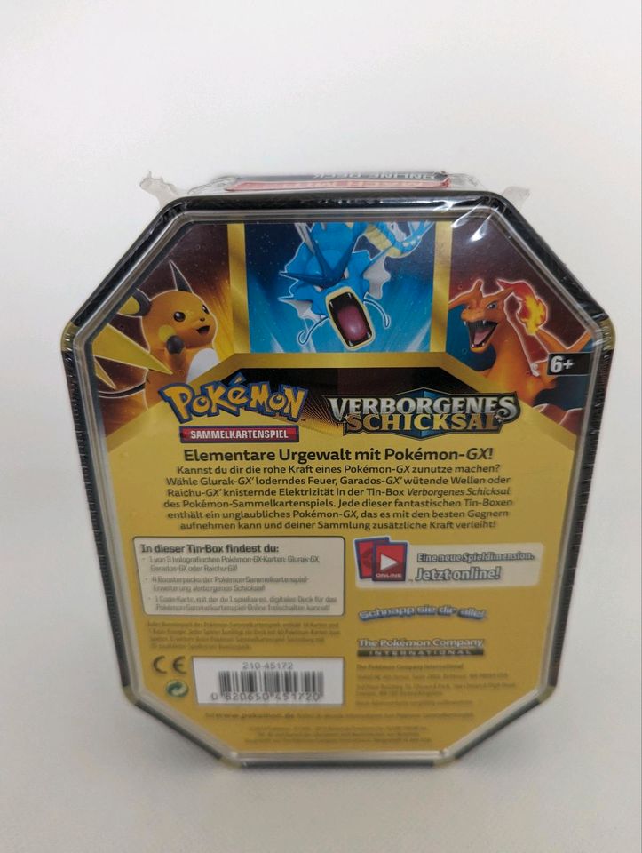 Pokemon Verborgenes Schicksal Raichu Tin in Burgthann 