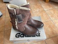 Gaastra Herren Damen Schuhe Boots Locke DF DK Brown 41 44 braun Mecklenburg-Vorpommern - Lohme Rügen Vorschau