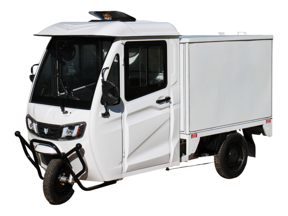 Panther Cargo Trike electric Koffer weiss in Merzig