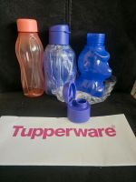Tupperware Trinkflaschen Lila Koralle  neu Duisburg - Duisburg-Süd Vorschau
