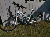 e-bike, Pegasus Premio E10, Bosch performance line CX, Rh53, 500 Niedersachsen - Langelsheim Vorschau