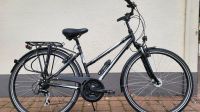 Damenrad , Alu Trekking Fahrrad , Kreidler , 28" Nordrhein-Westfalen - Beverungen Vorschau