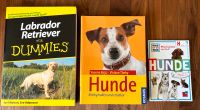 2 Hundebücher Labrador Retriever für Dummies und Hunde Baden-Württemberg - Höpfingen Vorschau