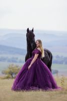 Ballkleider Kleid Shootings Fotograf Pferd Reiten Märchen Niedersachsen - Northeim Vorschau