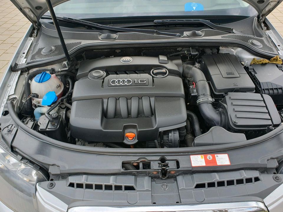 Audi A3 1.6 in Herbertingen